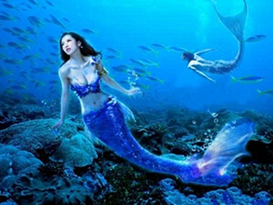 http://2fwaww.4000500521.com//upimg/seot/t20161103180128589.png