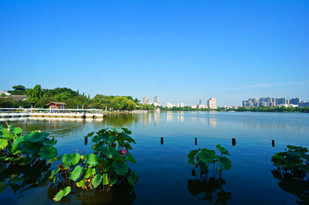 http://2fwaww.4000500521.com//upimg/seot/t20161115164637508.jpg
