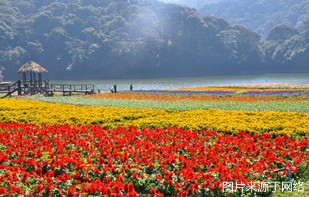 http://2fwaww.4000500521.com//upimg/seot/t20161219140743516.jpg