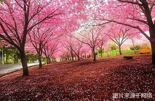http://2fwaww.4000500521.com//upimg/seot/t20161219142324159.jpg