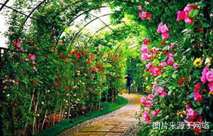 http://2fwaww.4000500521.com//upimg/seot/t20161219154823264.jpg