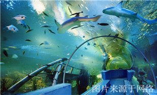 http://2fwaww.4000500521.com//upimg/seot/t20171019183519583.jpg