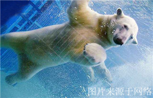 http://2fwaww.4000500521.com//upimg/seot/t20171019183614212.jpg