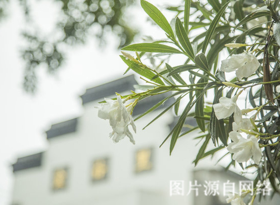 http://2fwaww.4000500521.com//upimg/seot/t20190701165849544.jpg