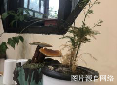 http://2fwaww.4000500521.com//upimg/seot/t20190701173553213.jpg